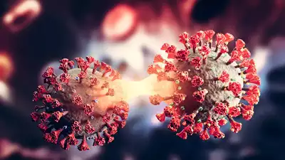 China’s Post-COVID-19 Struggle: HMPV Outbreak Endangers Kids and Elderly